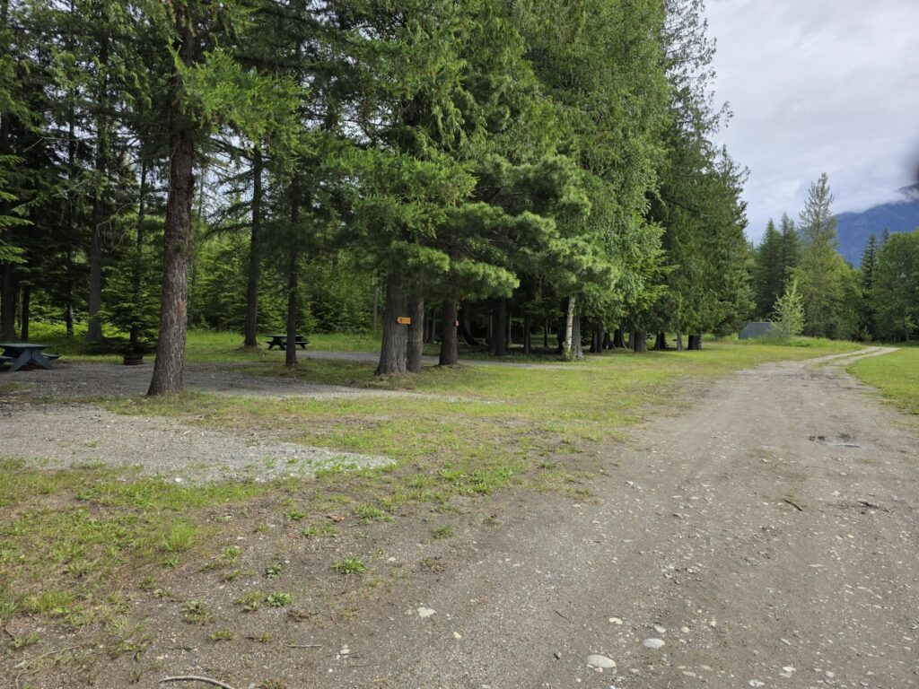 camp2 camp2